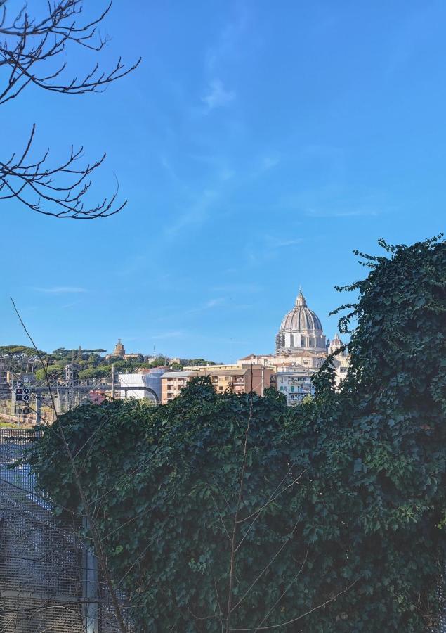 Timeless St Peter Terrace Apartment Roma Ngoại thất bức ảnh